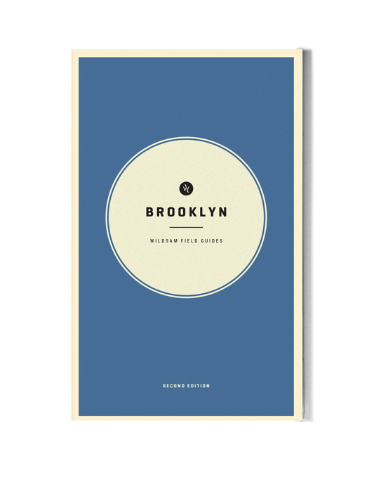 Brooklyn guide book