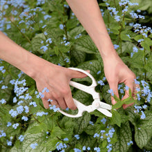 Load image into Gallery viewer, Floral Clippers
