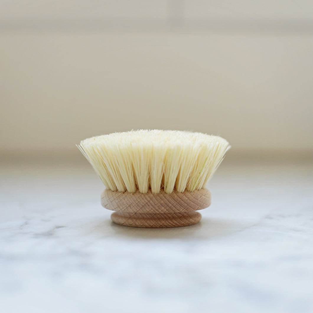 dish brush replacement head