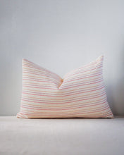 Load image into Gallery viewer, throw pillow      
